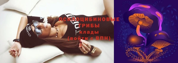 ГАЛЛЮЦИНОГЕННЫЕ ГРИБЫ Нязепетровск