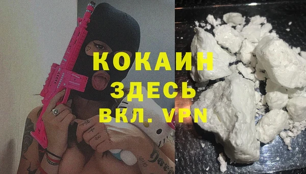 гидра Бикин