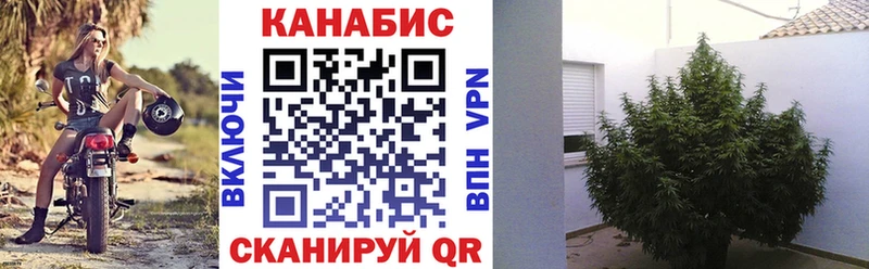 кракен ТОР  Тюмень  Бошки Шишки планчик 